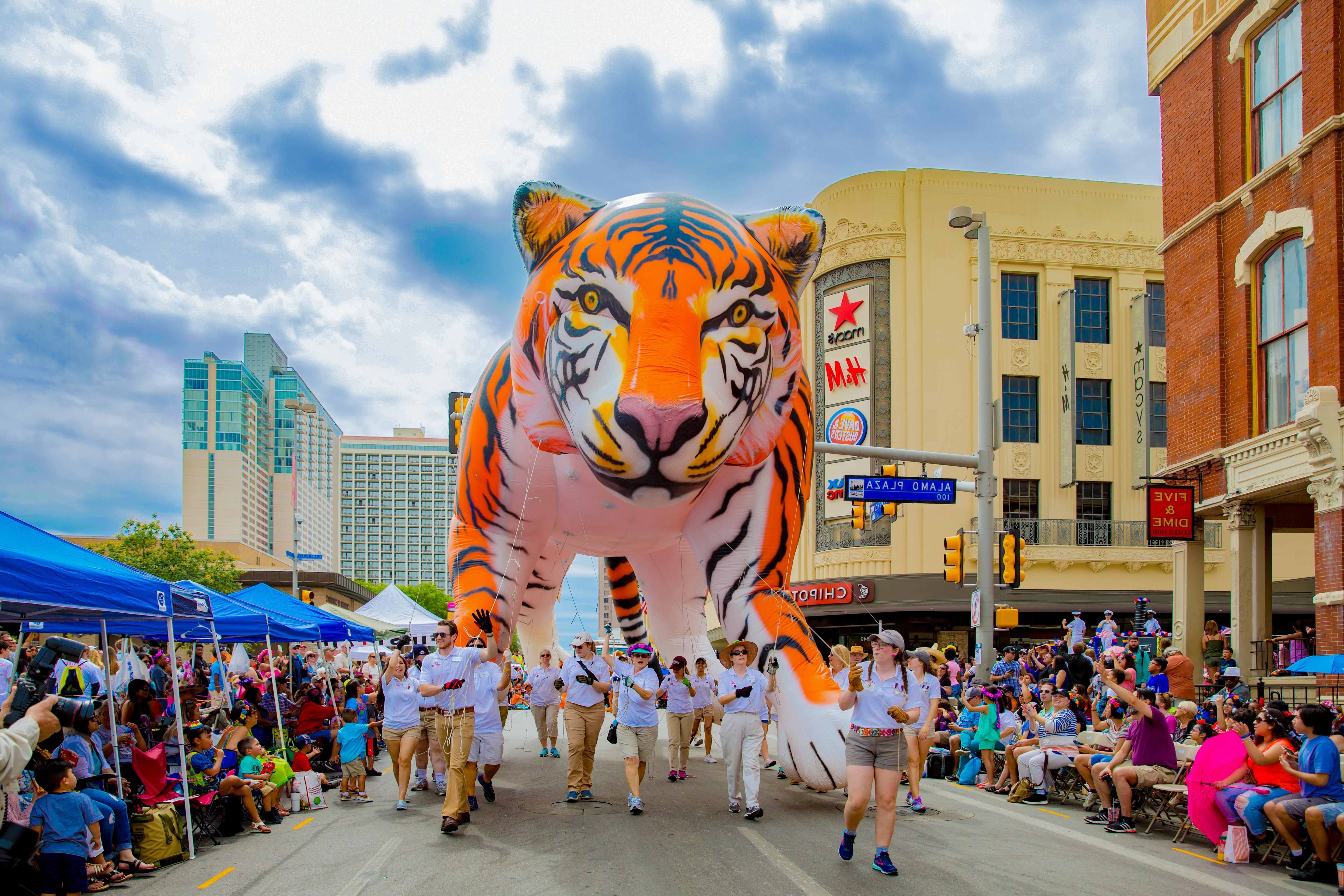 澳门金沙线上赌博官网's large tiger-shaped balloon in the Battle of Flowers Parade